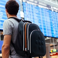 Не исключено, что авиакомпании станут информировать пассажиров о задержке вылетов посредством Интернета