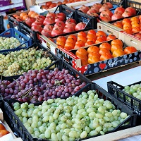Разработан проект типового госконтракта на поставку продуктов питания