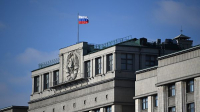Госдума во втором чтении приняла налоговые льготы для многодетных семей